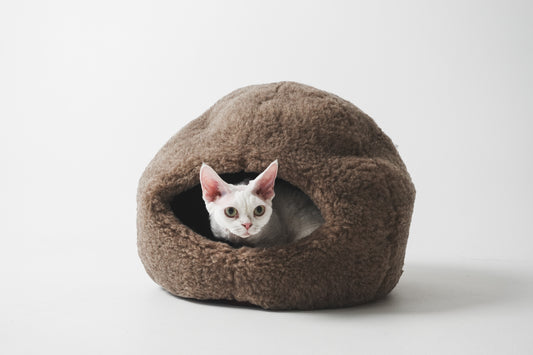 Cat peeking out from a brown cat bed on a white background | Natural, non‑toxic pet nest for cats and small dogs | Cozy, handmade pet furniture