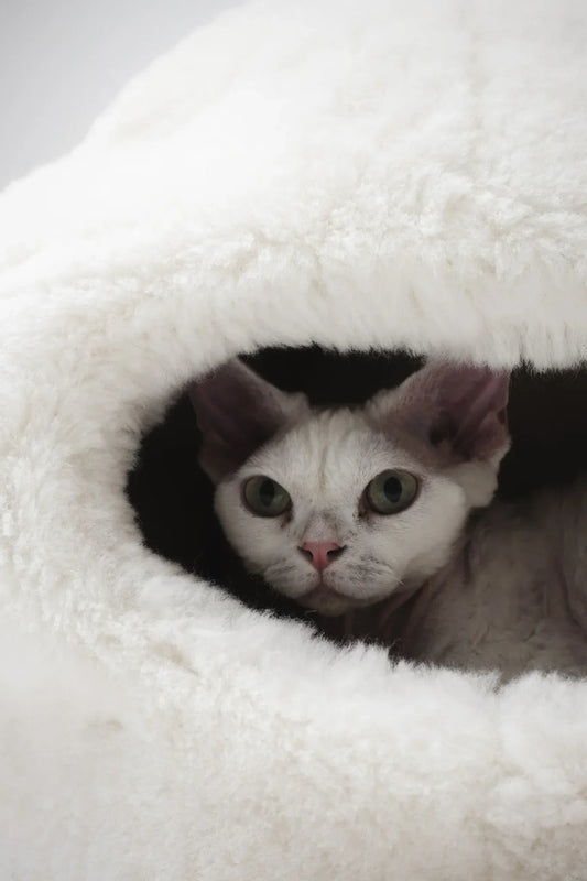 Nest Natural Sheepskin Pet Bed - White - MellowConceptStore