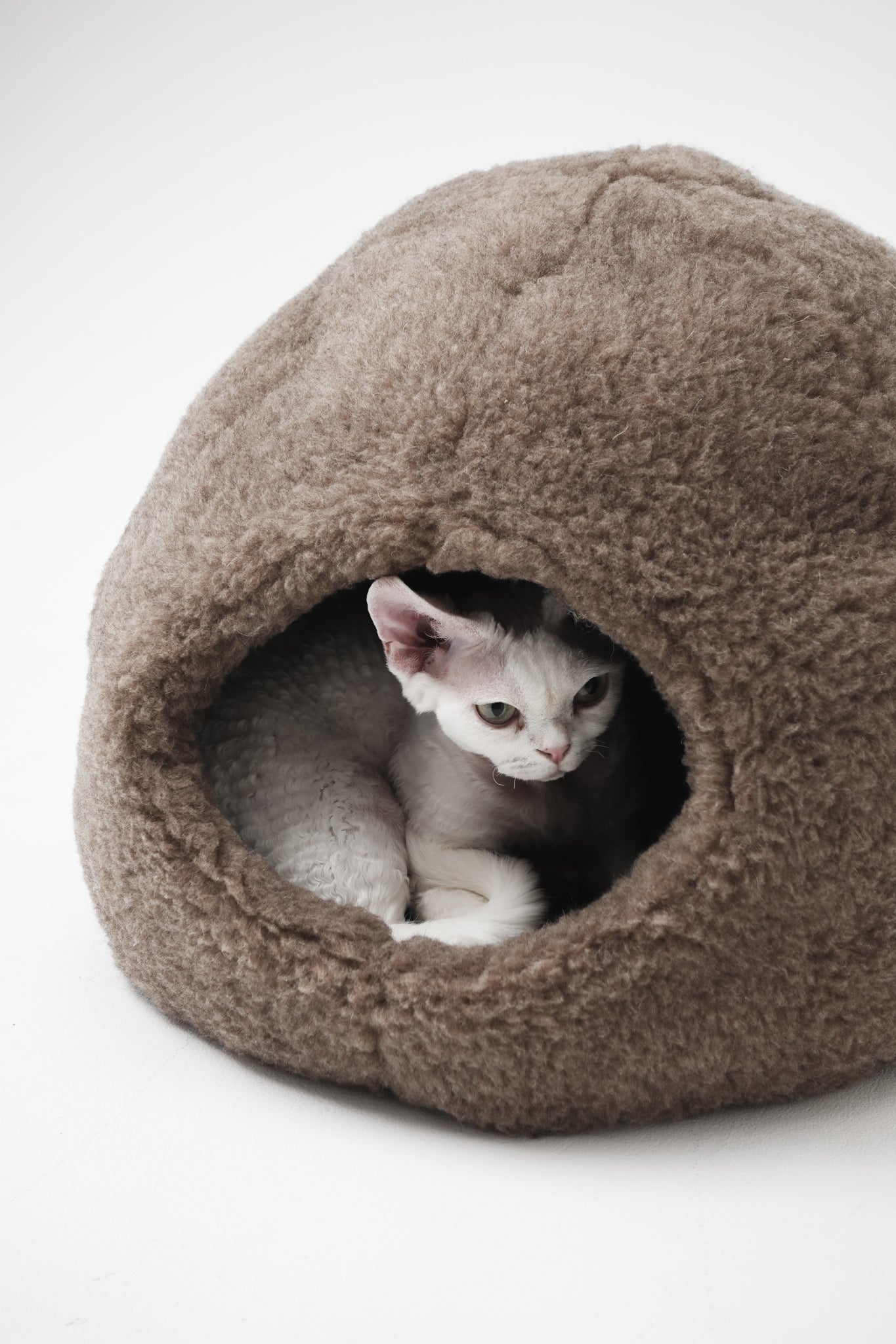 Cat lying inside a brown pet bed on a white background | Natural, non‑toxic pet nest for cats and small dogs | Cozy, handmade pet furniture