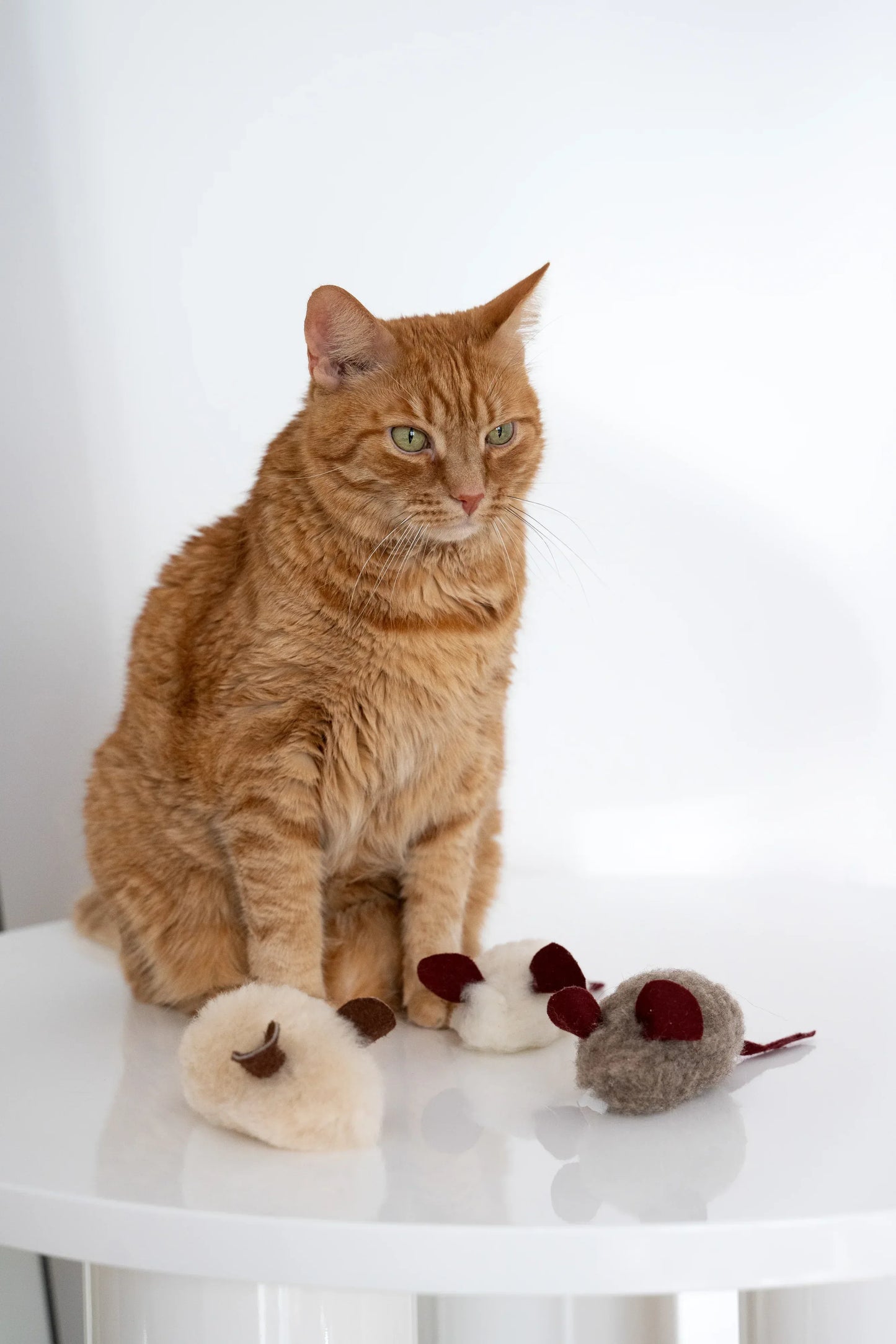Natural Woolen Cat Toy: Mouse - MellowConceptStore