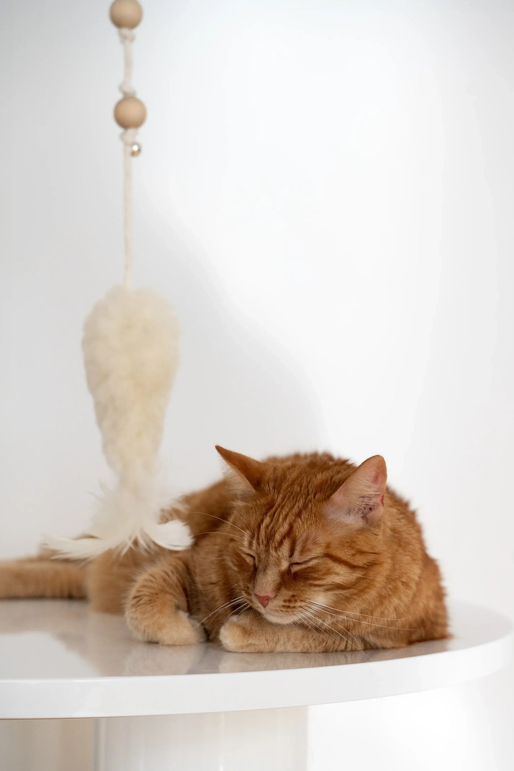 Natural Woolen Cat Toy: Fish - MellowConceptStore