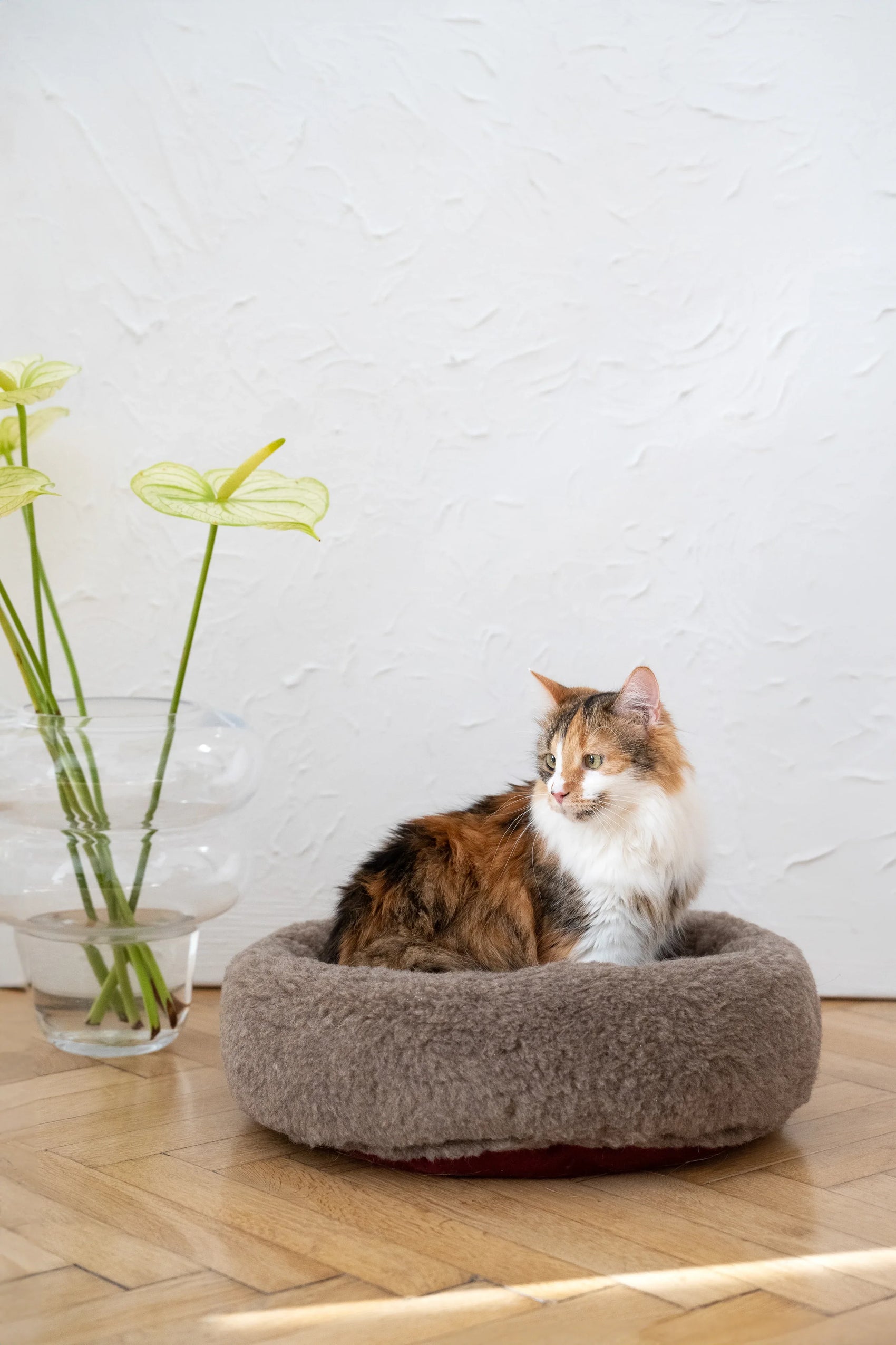 Round Natural Wool Pet Bed - Beige - MellowConceptStore