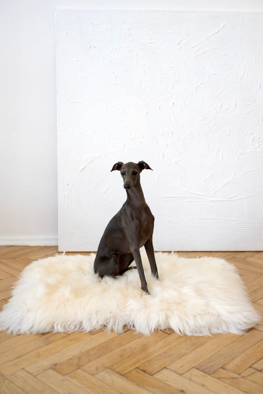 Square or Rectangular Natural Sheepskin Pet Mat White
