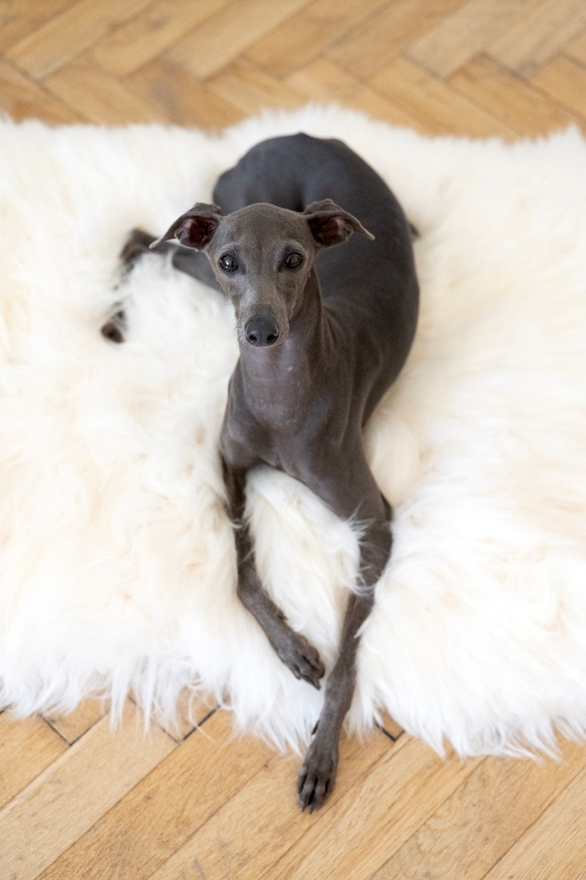 Square or Rectangular Natural Sheepskin Pet Mat White