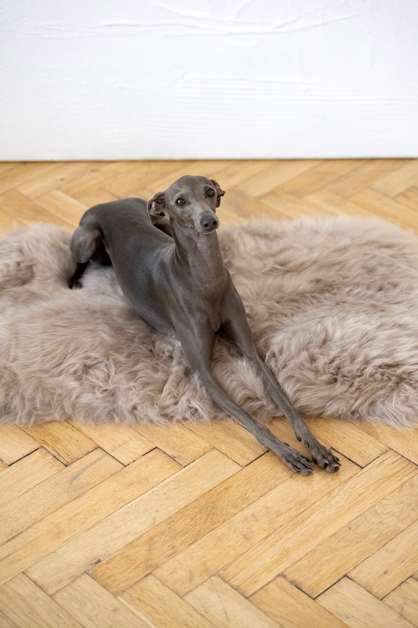 Square or Rectangular Natural Sheepskin Pet Mat Greige