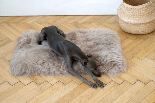 Square or Rectangular Natural Sheepskin Pet Mat Greige