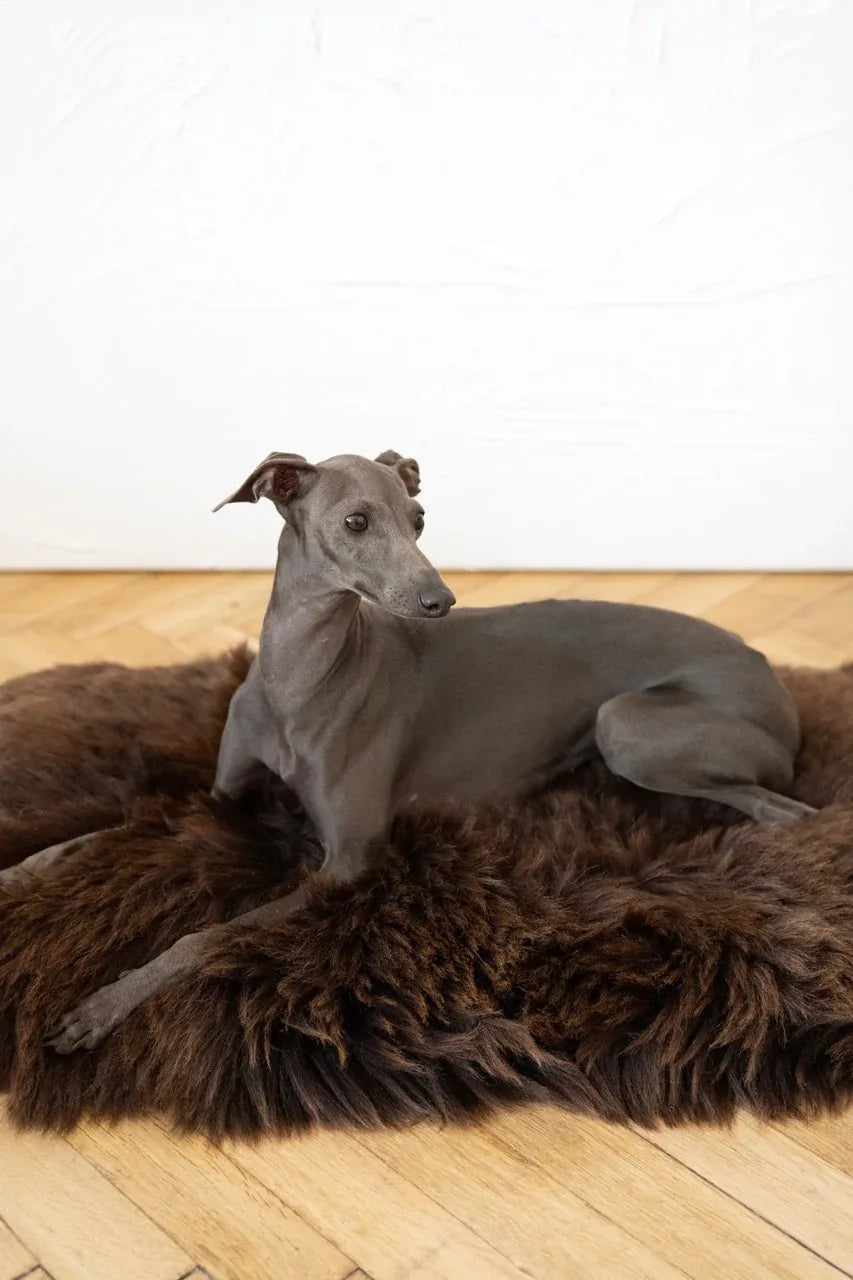 Square or Rectangular Natural Sheepskin Pet Mat - Brown - MellowConceptStore