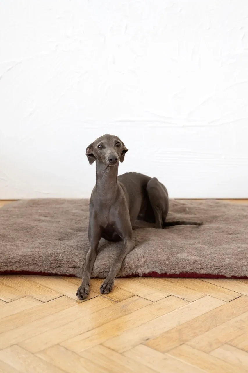 Square or Rectangular Natural Woolen Pet Mat - Beige - MellowConceptStore