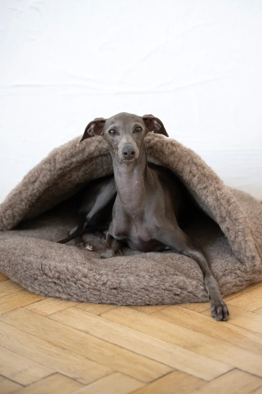 Natural Wool Pet Cave - Beige - MellowConceptStore