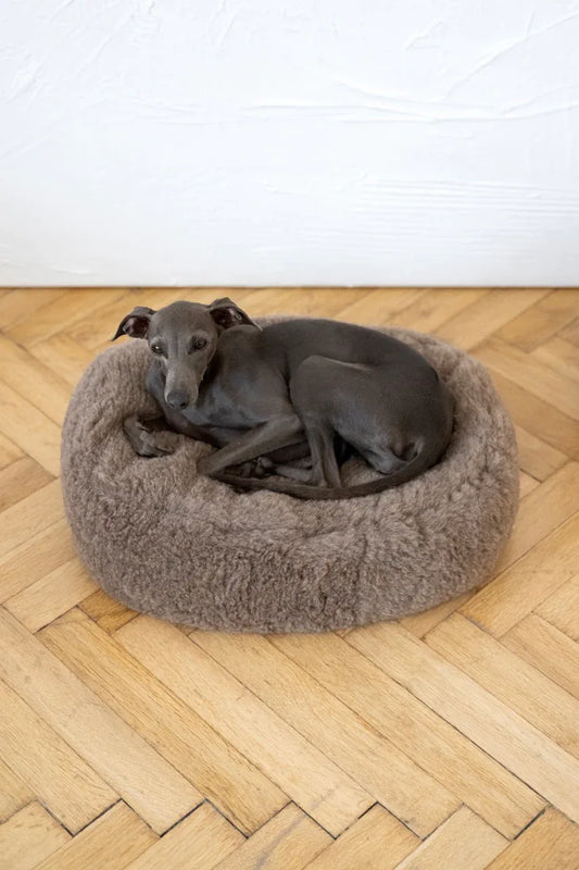 Oval Natural Wool Pet Bed - Beige - MellowConceptStore