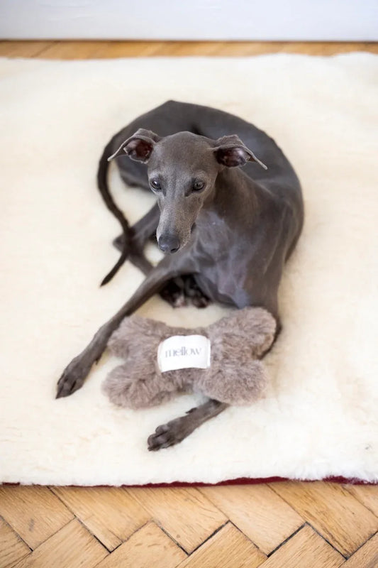 Natural Woolen Dog Toy - Bone - Beige - MellowConceptStore