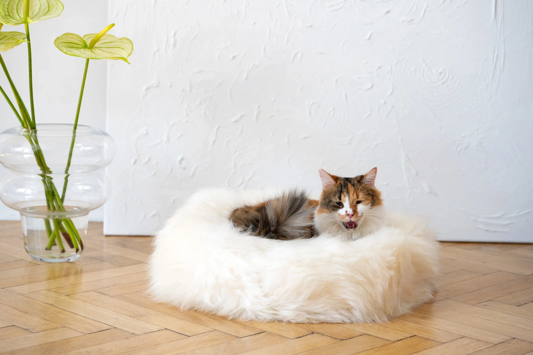 Round Natural Sheepskin Pet Bed - White - MellowConceptStore
