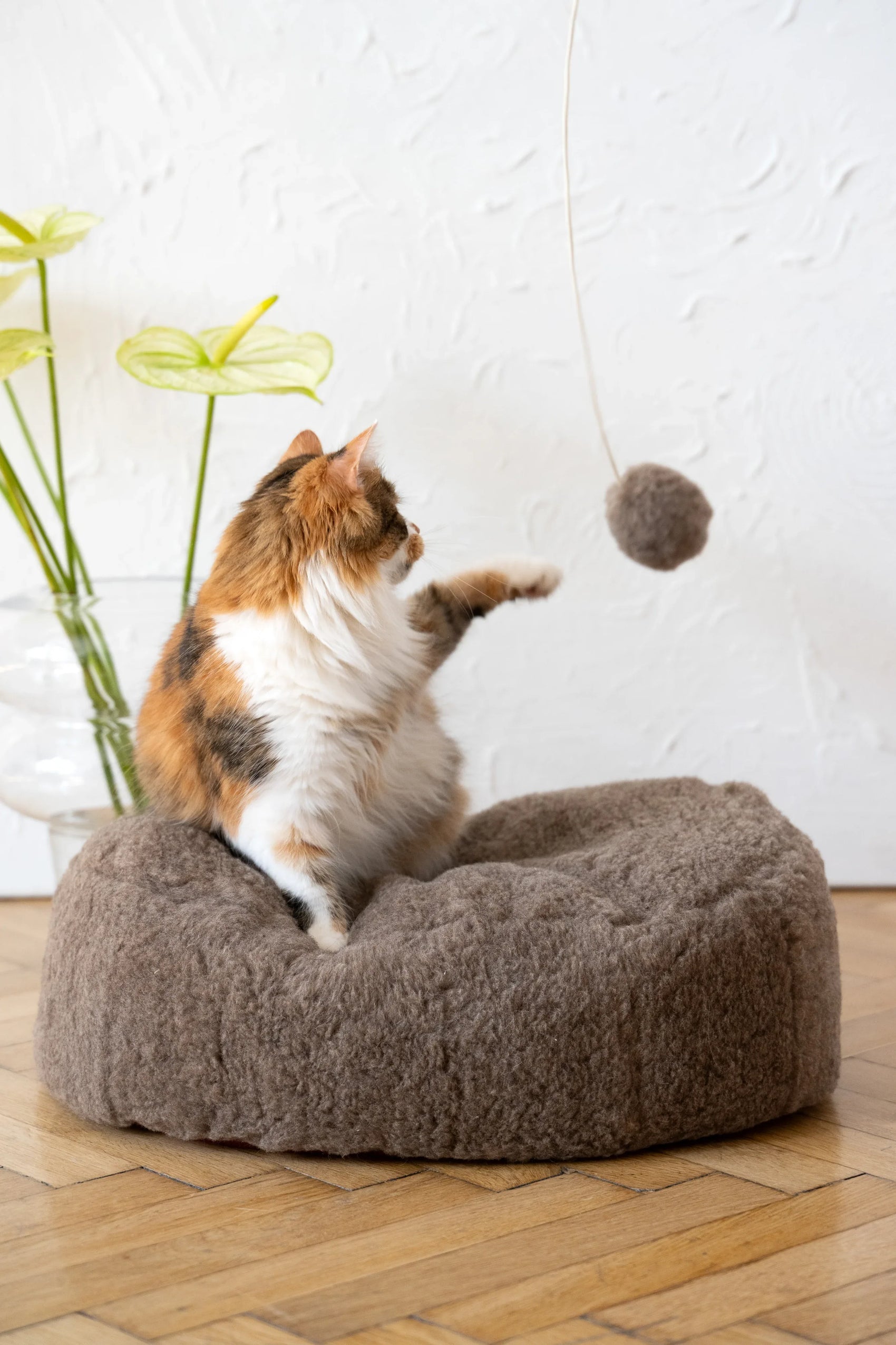 Oval Natural Wool Pet Bed - Beige - MellowConceptStore