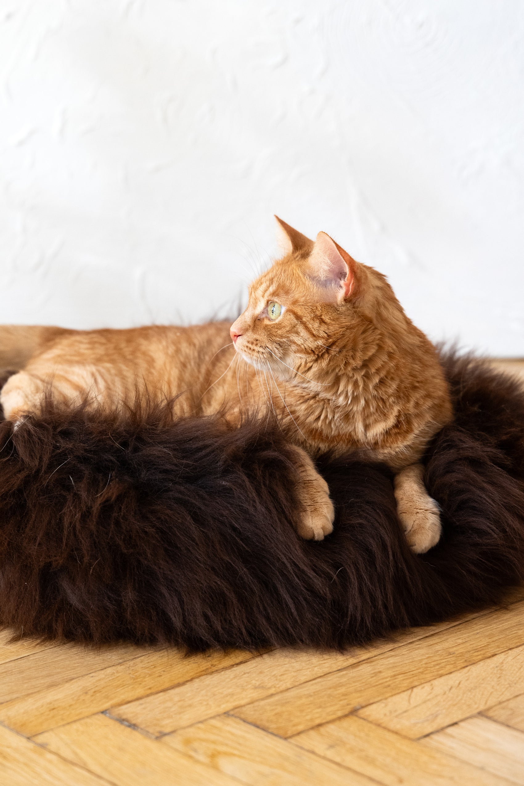 Round Natural Sheepskin Pet Bed Brown