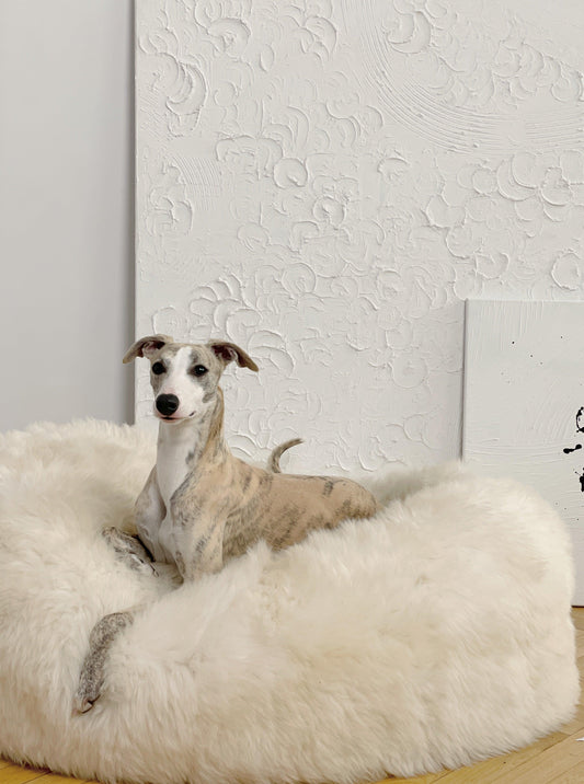 Oval Natural Sheepskin Pet Bed - White - MellowConceptStore
