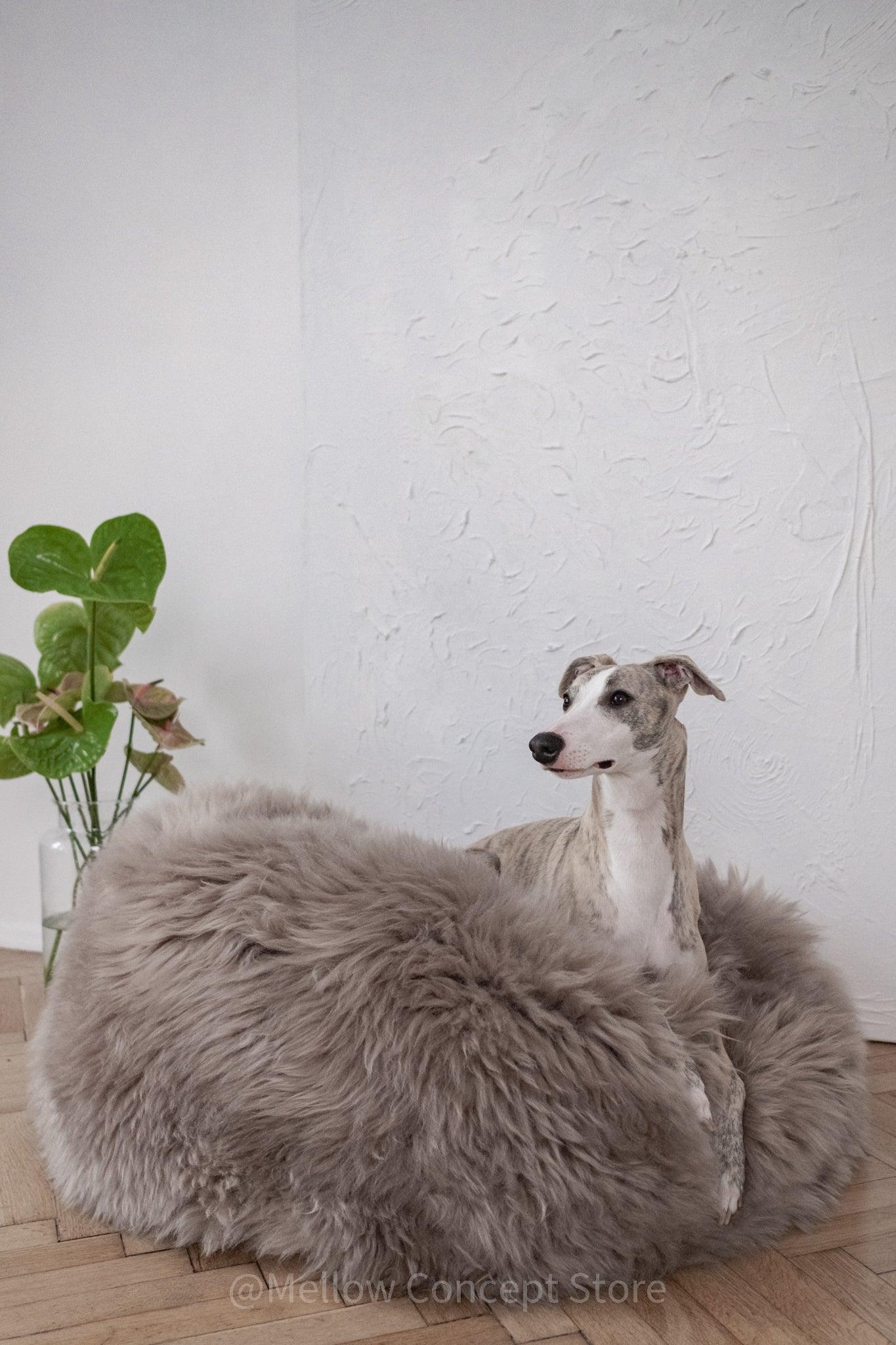 Oval Natural Sheepskin Pet Bed - Greige - MellowConceptStore