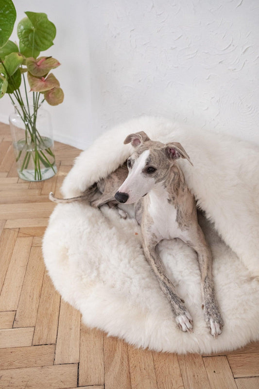 Natural Sheepskin Pet Cave - White - MellowConceptStore