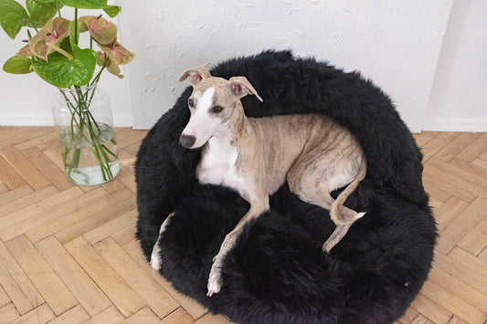 Natural Sheepskin Pet Cave - Black - MellowConceptStore