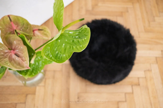 Round Natural Sheepskin Pet Bed - Black - MellowConceptStore