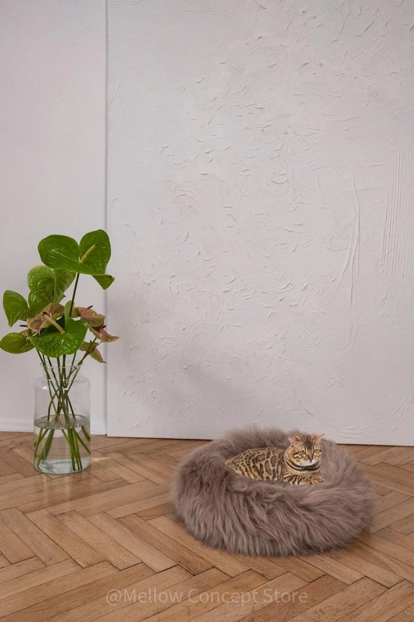 Round Natural Sheepskin Pet Bed - Greige - MellowConceptStore