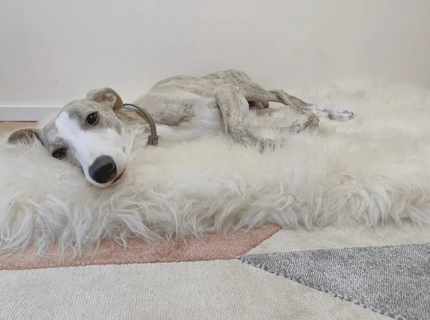 Square or Rectangular Natural Sheepskin Pet Mat - White - MellowConceptStore