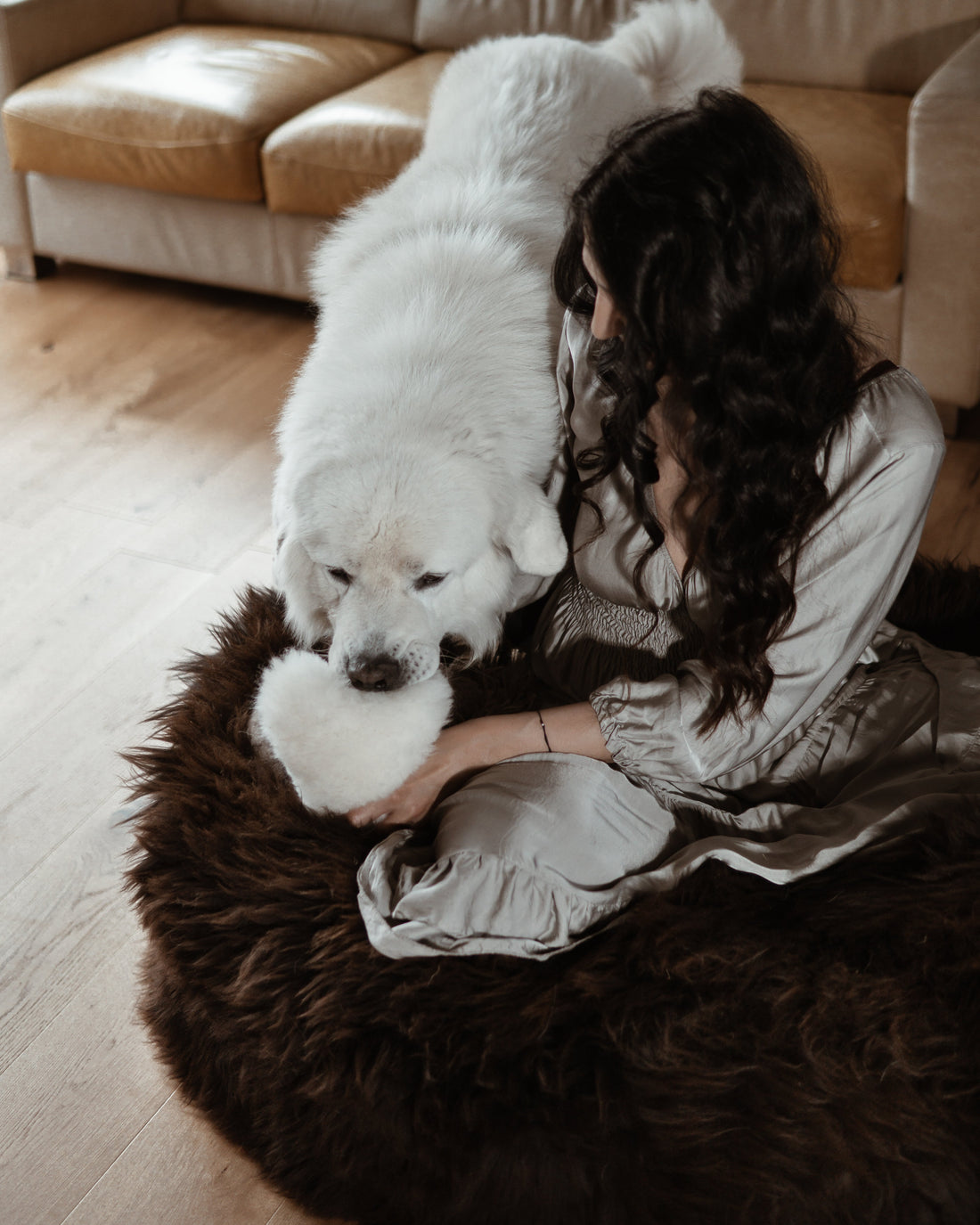 Pet Enrichment in 2025: Natural Ways to Boost Your Dog’s Mental Health ↓ - MellowConceptStore