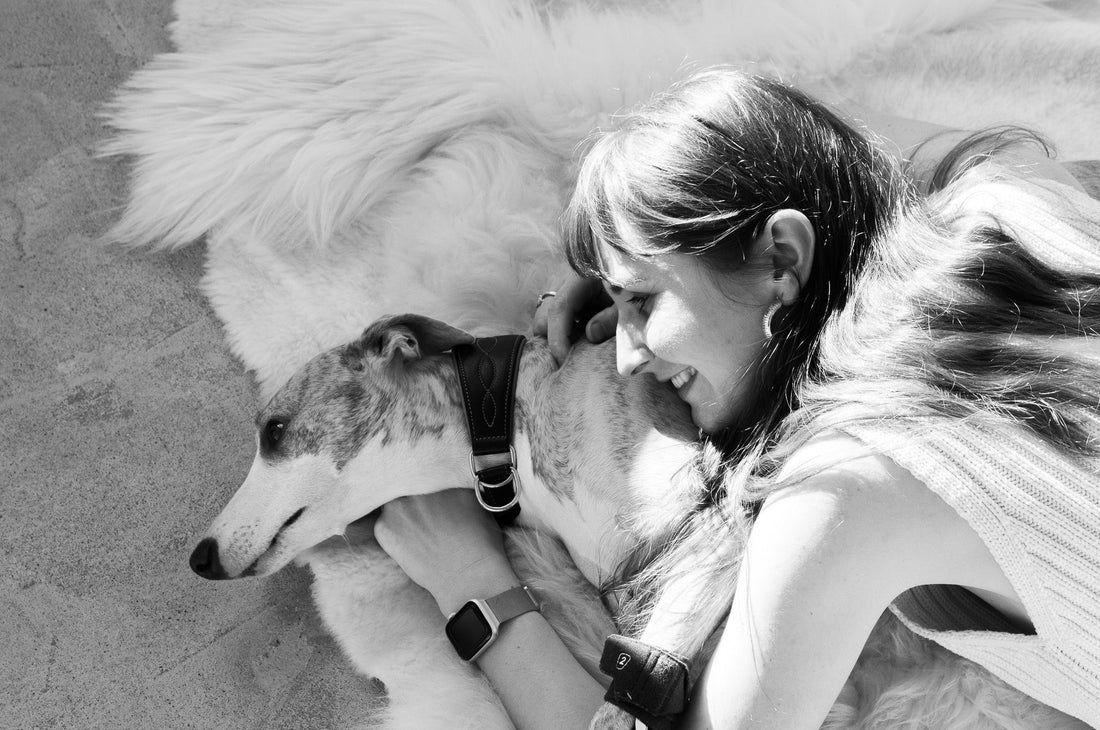 Why Most Dog Beds Are Failing Your Pet – And What to Look For Instead - MellowConceptStore