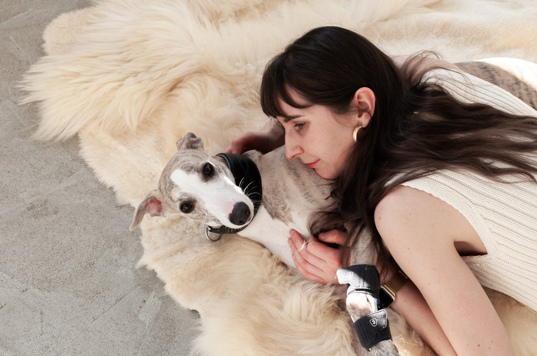 Is Your Home Making You Sick? The Toxic Truth About Furniture, Carpets & Pet Products - MellowConceptStore