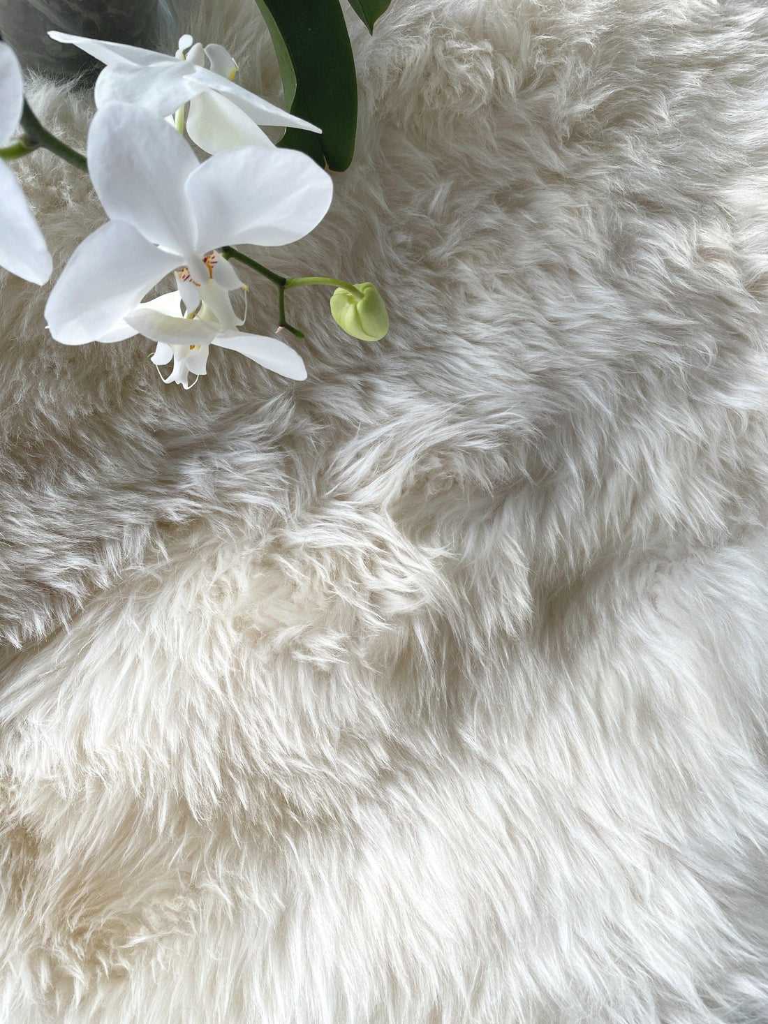 5 REASONS WHY SHEEPSKIN IS GOOD FOR YOUR HEALTH (AND YOUR BABY) - MellowConceptStore