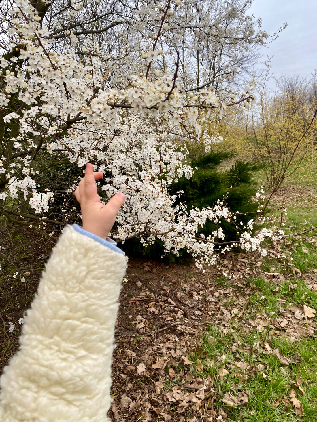 Embracing Sustainability: Mellow Concept's New Eco-Friendly Fabric Blend - MellowConceptStore