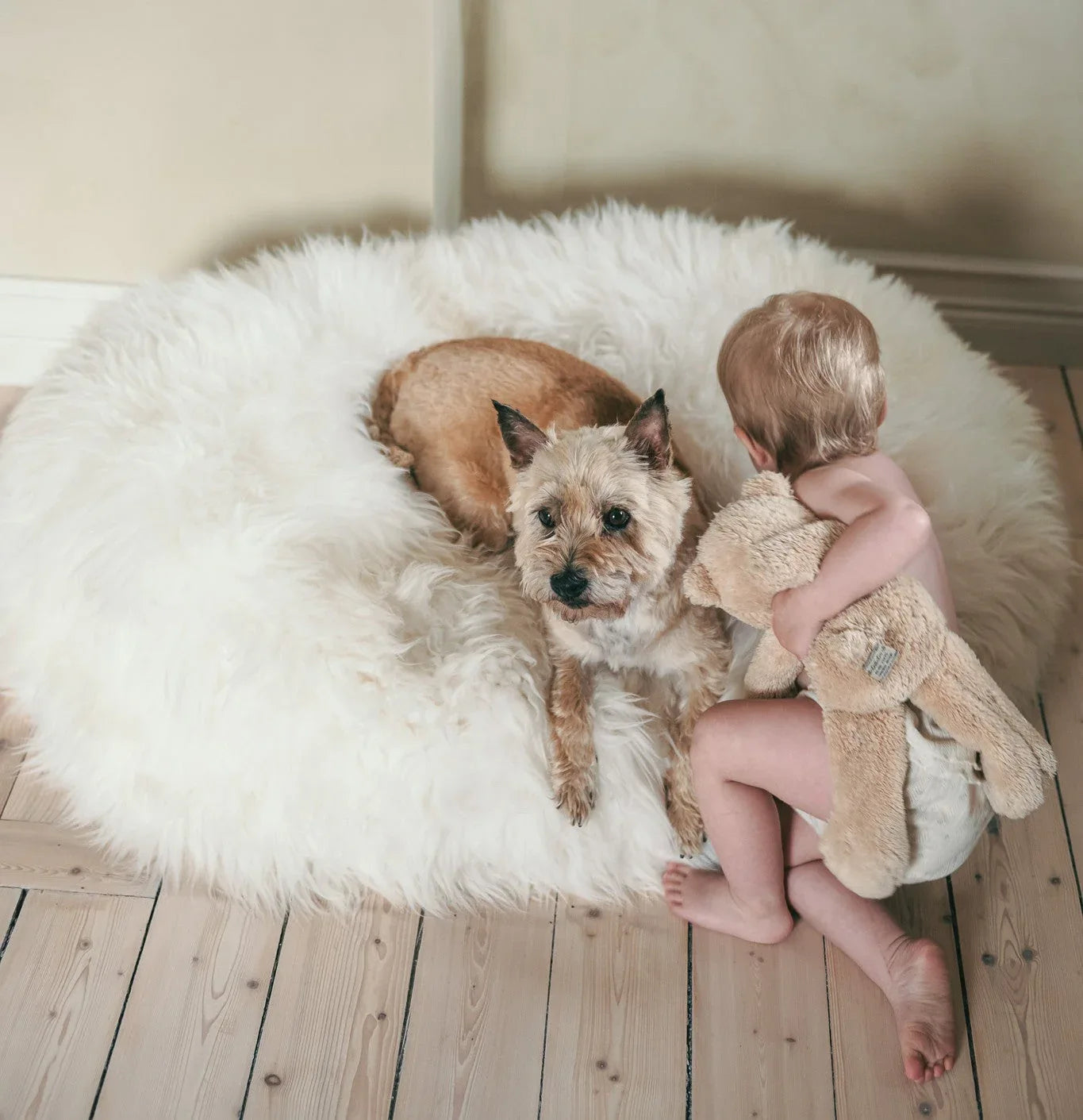 Sheepskin/Woolen Pet Bed - MellowConceptStore