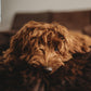 A brown dog resting on a Oval Natural Sheepskin Pet Bed in Chocolate Brown from Mellow Pet Store.
