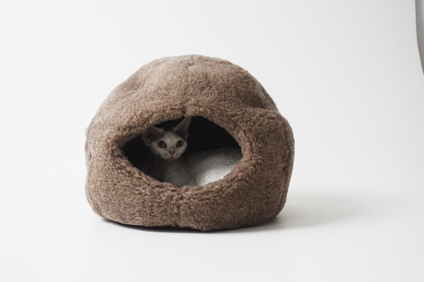 Cat peeking out from a brown cave-shaped pet bed on a white background  | Natural, non‑toxic pet nest for cats and small dogs | Cozy, handmade pet furniture


