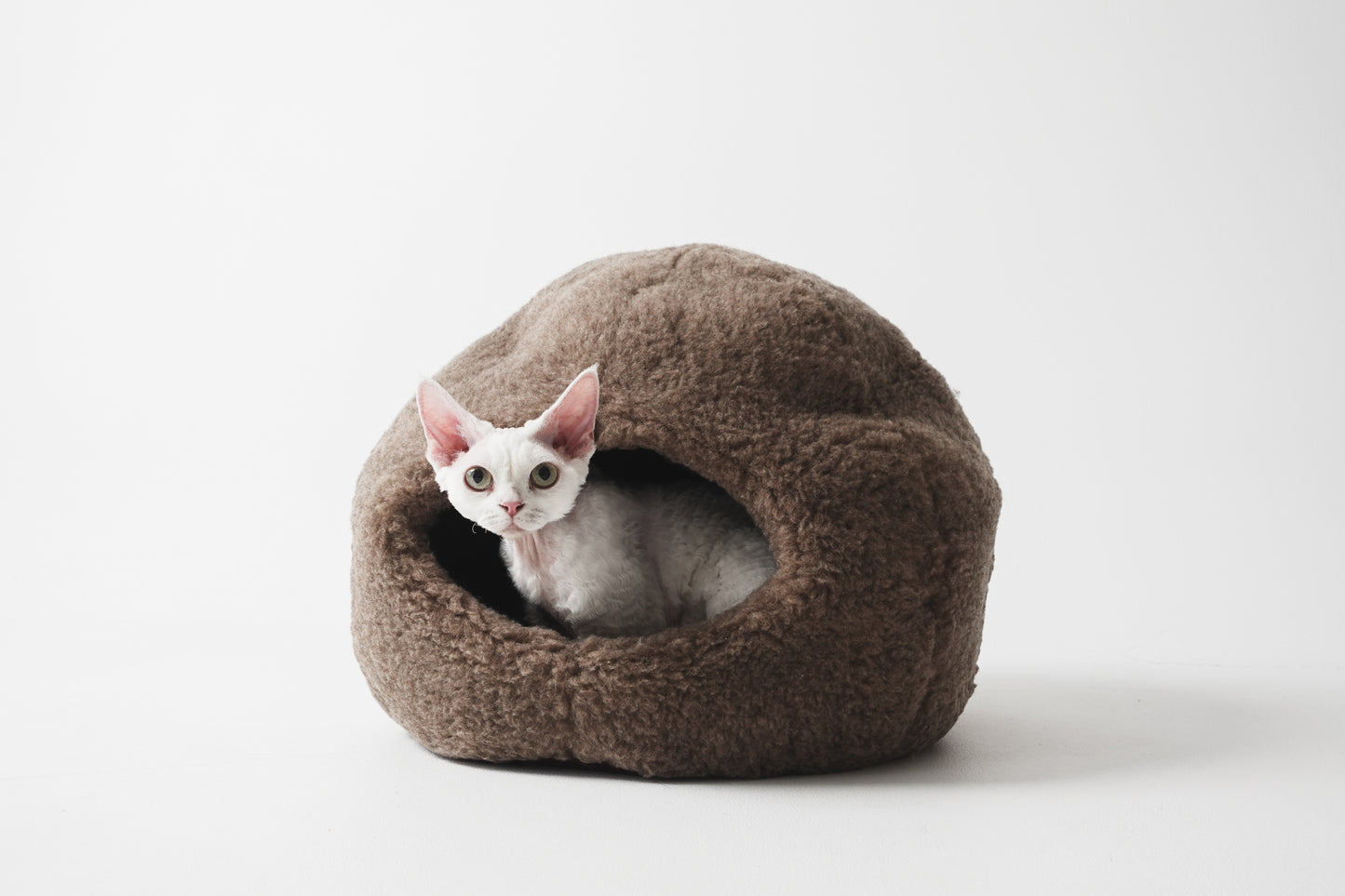 Cat inside a brown woolen pet bed on a white background  | Natural, non‑toxic pet nest for cats and small dogs | Cozy, handmade pet furniture

