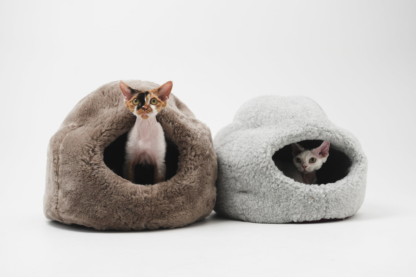 Two cats inside cozy pet beds on a white background | Natural, non‑toxic pet nest for cats and small dogs | Cozy, handmade pet furniture, natural wool and sheepskin

