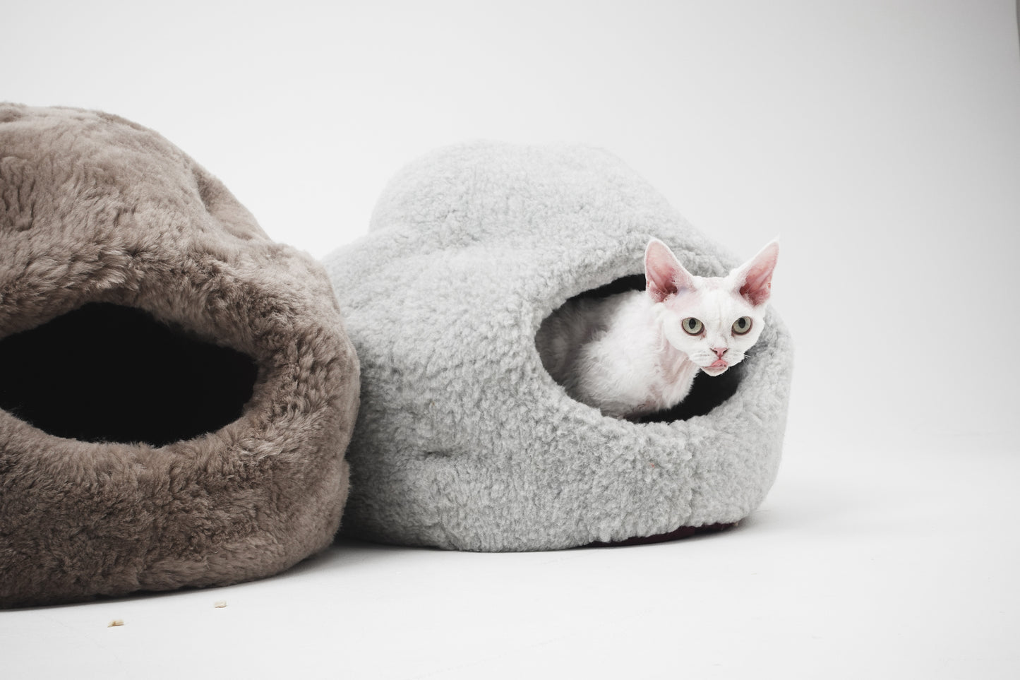 Two cat beds, one gray and one brown, with a white cat peeking out on a white background.