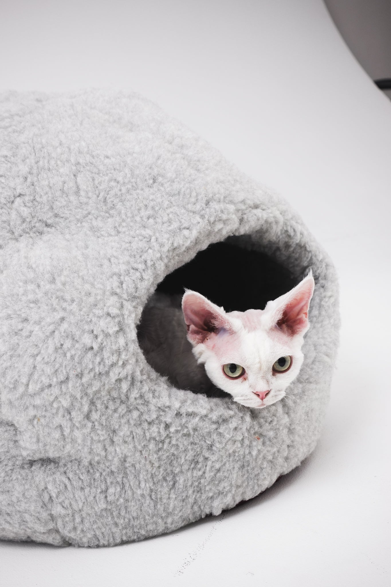 Cat peeking out from a gray pet bed on a white background  | Natural, non‑toxic pet nest for cats and small dogs | Cozy, handmade pet furniture

