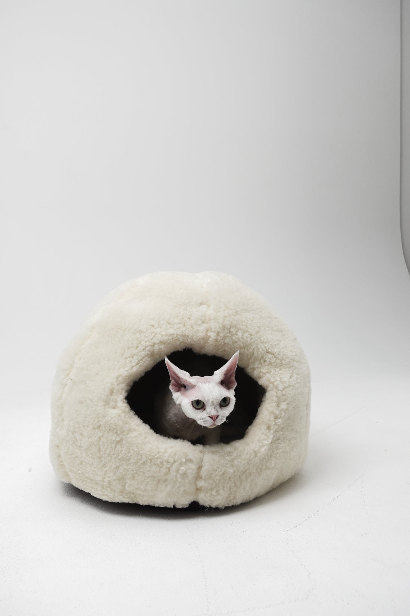 Cat peeking out from a white cat bed on a light gray background | Natural, non‑toxic pet nest for cats and small dogs | Cozy, handmade pet furniture, natural wool and sheepskin

