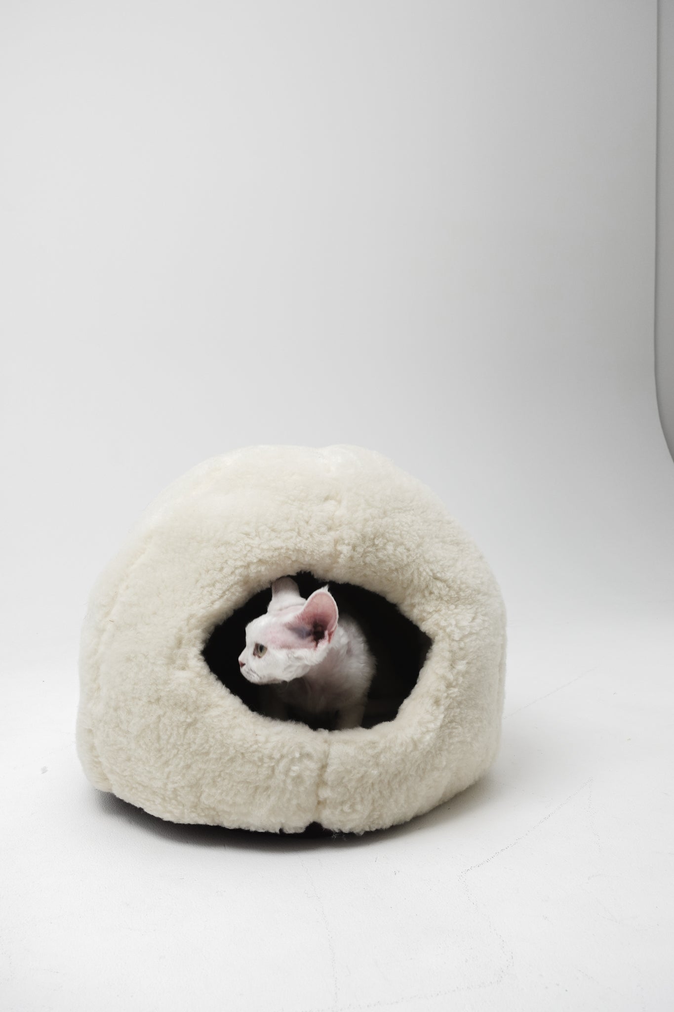 White cat inside a fluffy white pet bed on a white background | Natural, non‑toxic pet nest for cats and small dogs | Cozy, handmade pet furniture, natural wool and sheepskin

