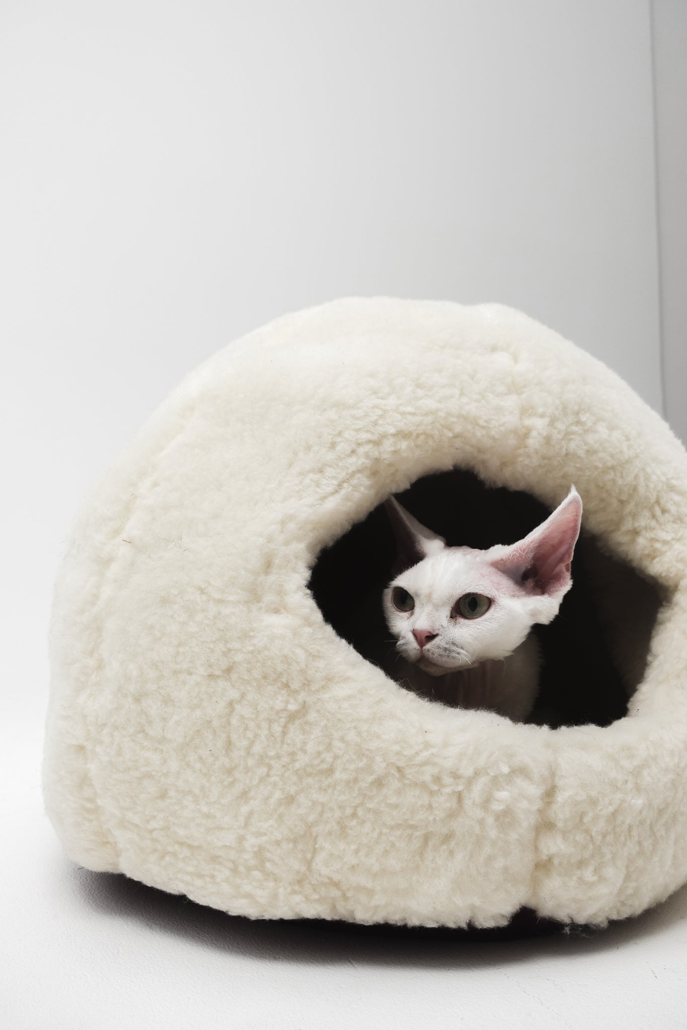 White cat peeking out from a fluffy white pet bed on a light gray  background | Natural, non‑toxic pet nest for cats and small dogs | Cozy, handmade pet furniture, natural wool and sheepskin

