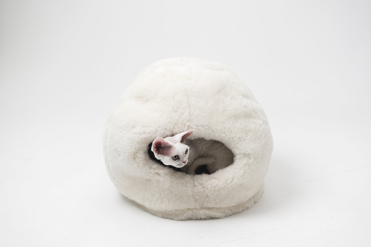 Cat lying inside a fluffy white pet bed on a white background | Natural, non‑toxic pet nest for cats and small dogs | Cozy, handmade pet furniture, natural wool and sheepskin

