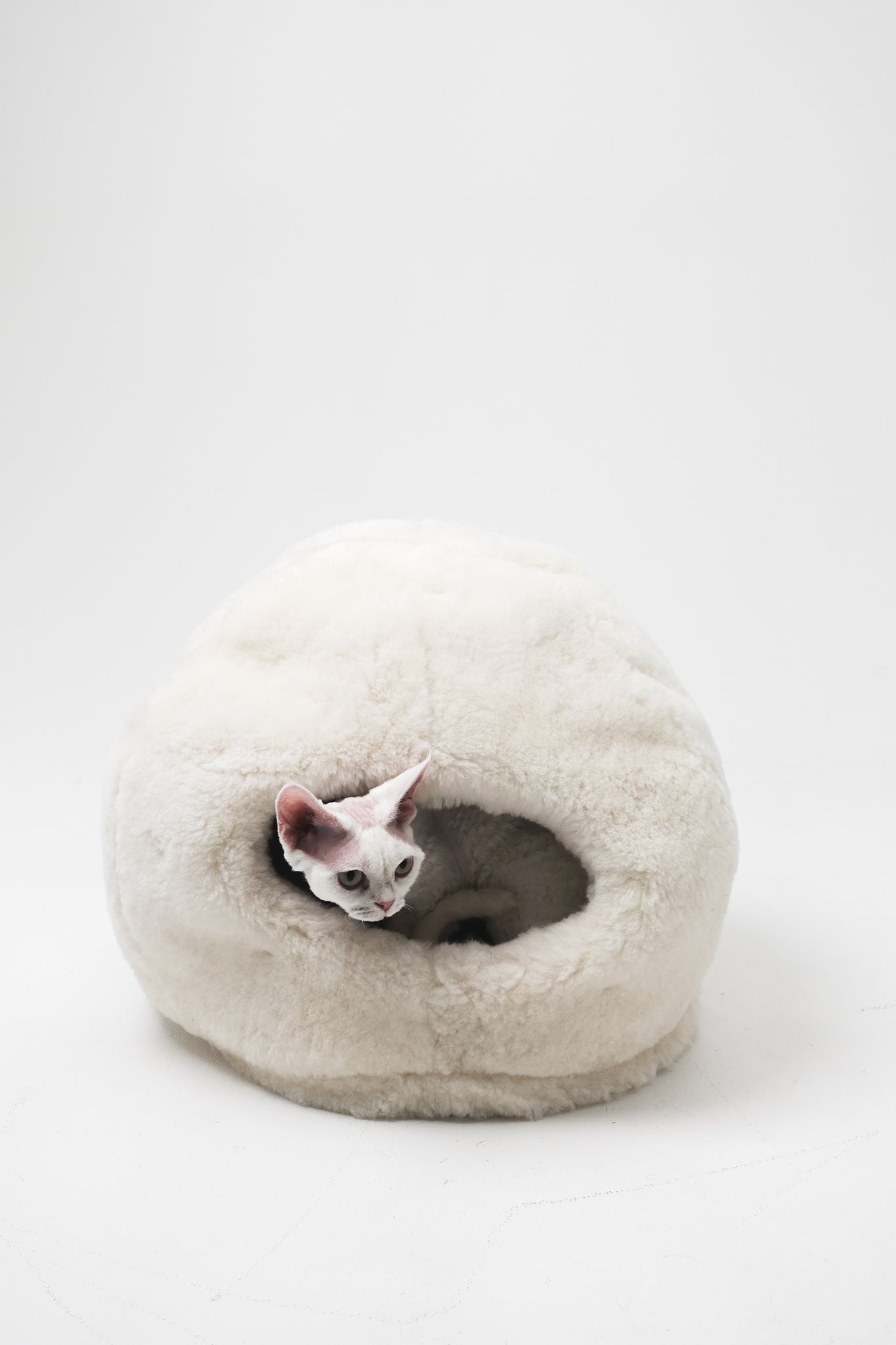 Cat peeking out from a fluffy white pet bed on a white background  | Natural, non‑toxic pet nest for cats and small dogs | Cozy, handmade pet furniture, natural wool and sheepskin

