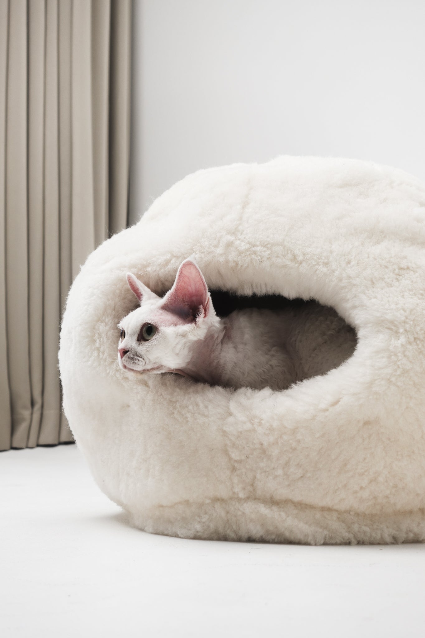 Cat peeking out from a white natural pet bed against a neutral background | Natural, non‑toxic pet nest for cats and small dogs | Cozy, handmade pet furniture, natural wool and sheepskin

