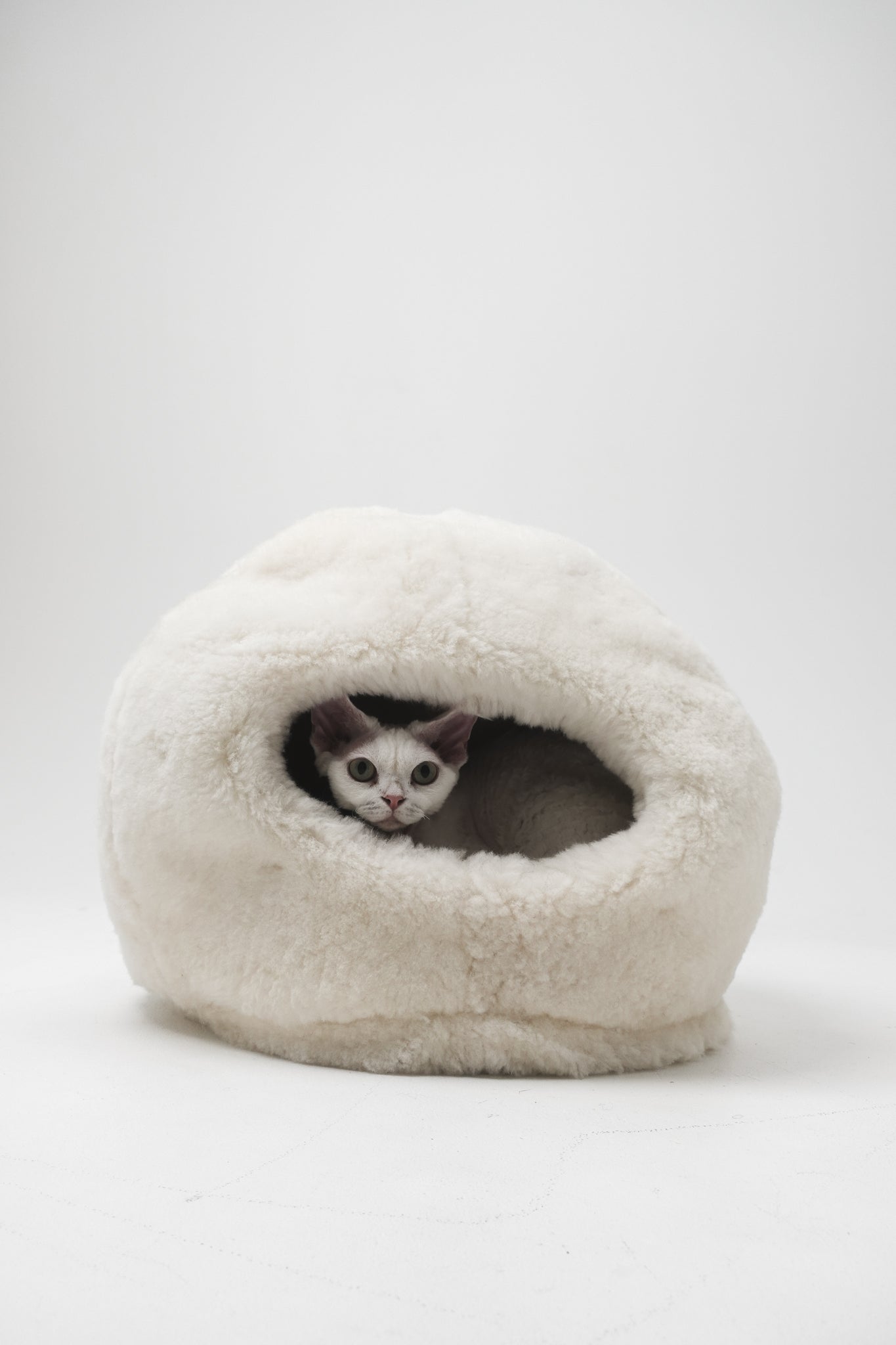 Cat peeking out from a fluffy white pet bed on a light gray background | Natural, non‑toxic pet nest for cats and small dogs | Cozy, handmade pet furniture, natural wool and sheepskin

