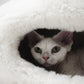 Cat peeking out from a white fluffy pet bed | Natural, non‑toxic pet nest for cats and small dogs | Cozy, handmade pet furniture, natural wool and sheepskin

