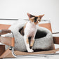 Cat sitting inside a gray pet bed on a modern chair with a white background  | Natural, non‑toxic pet nest for cats and small dogs | Cozy, handmade pet furniture

