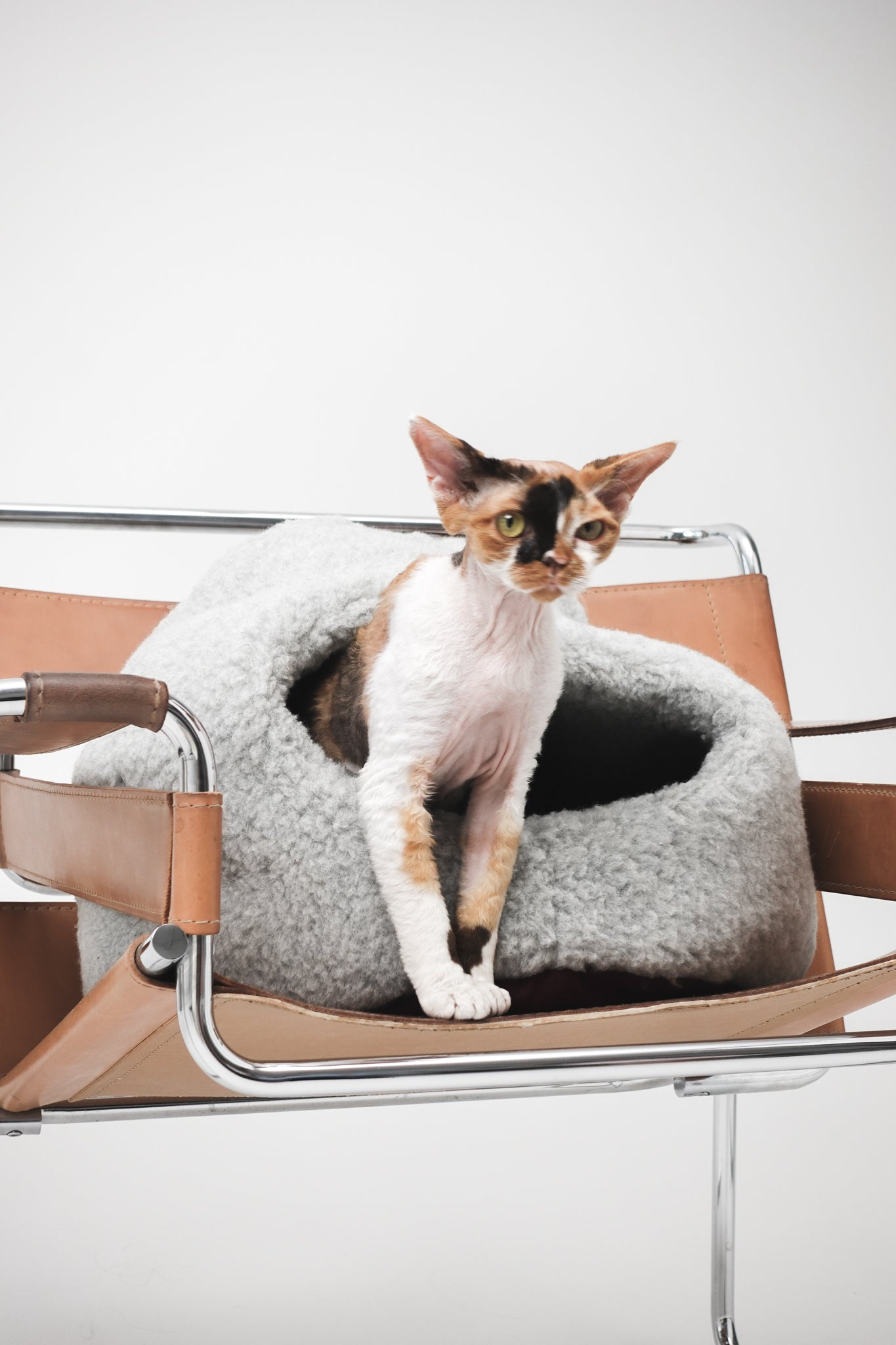 Cat sitting inside a gray pet bed on a modern chair with a white background  | Natural, non‑toxic pet nest for cats and small dogs | Cozy, handmade pet furniture

