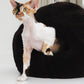 Cat with a black cave sheepskin bed on a white floor | Natural, non‑toxic pet nest for cats and small dogs | Cozy, handmade pet furniture, natural wool and sheepskin

