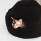 Cat peeking out from a dark brown cat bed on a white background | Natural, non‑toxic pet nest for cats and small dogs | Cozy, handmade pet furniture, natural wool and sheepskin

