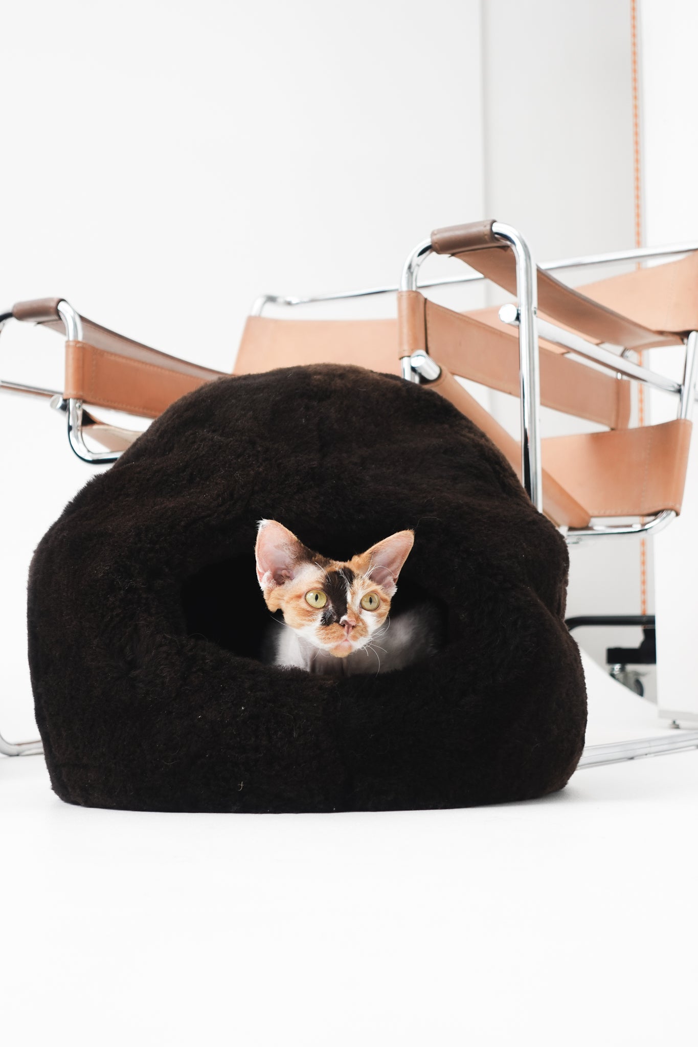 Cat peeking out from a black cat bed with a chair in the background | Natural, non‑toxic pet nest for cats and small dogs | Cozy, handmade pet furniture, natural wool and sheepskin

